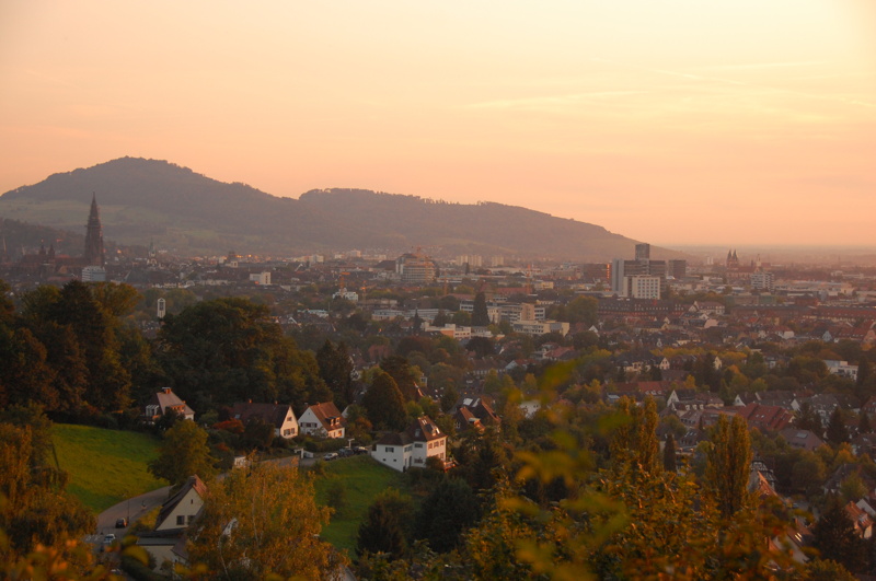 Bild_Freiburg
